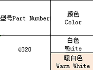 4028（全彩、ICRGB）系列